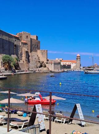 50 M De La Arrivee Et Depart Autonome Appartement Collioure